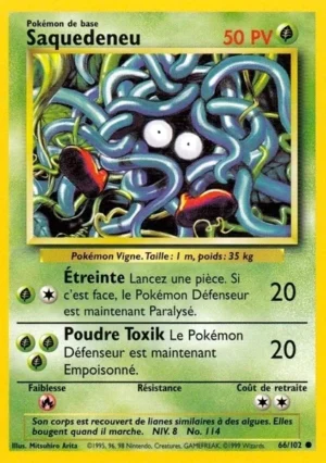 Saquedeneu 66/102