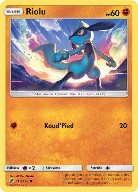 Riolu 116/236