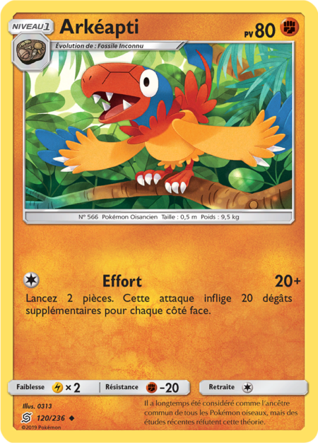 Arkéapti 120/236