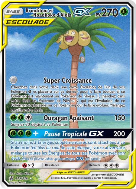 Brindibou et Noadkoko d'Alola 215/236