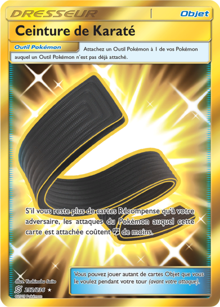 Ceinture de Karaté 252/236