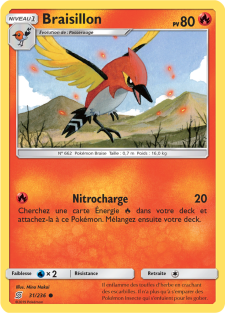 Braisillon 31/236