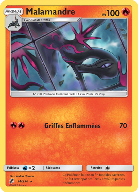 Malamandre 34/236