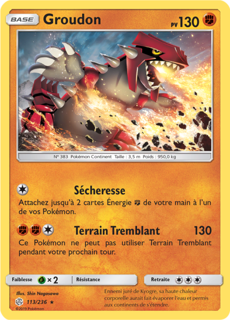Groudon 113/236