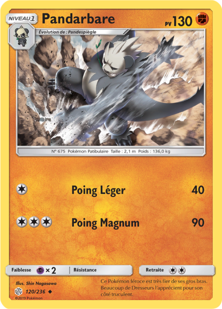Pandarbare 120/236