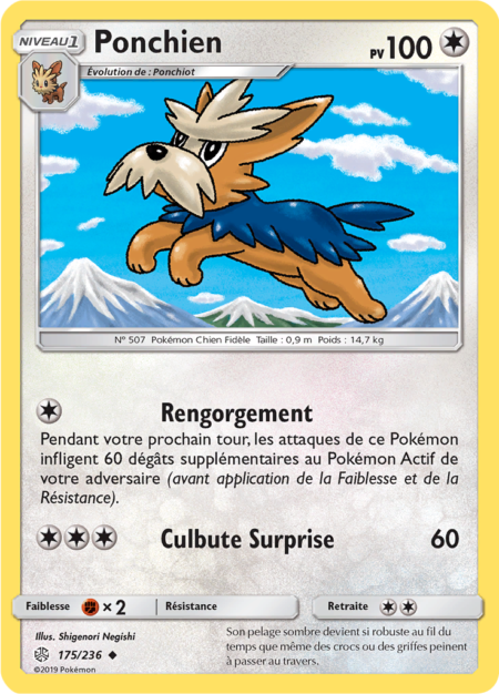 Ponchien 175/236