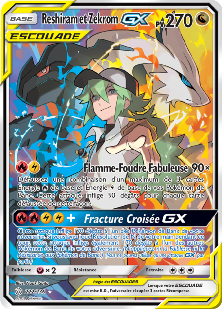 Reshiram et Zekrom 222/236
