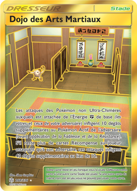 Dojo des Arts Martiaux 268/236