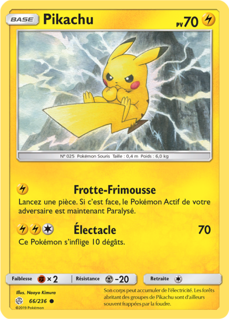 Pikachu 66/236