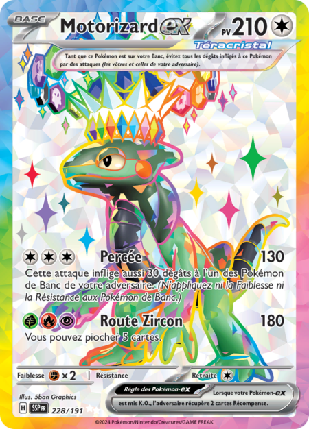Motorizard 228/191
