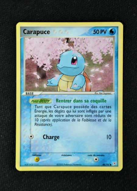 Carapuce 46/95