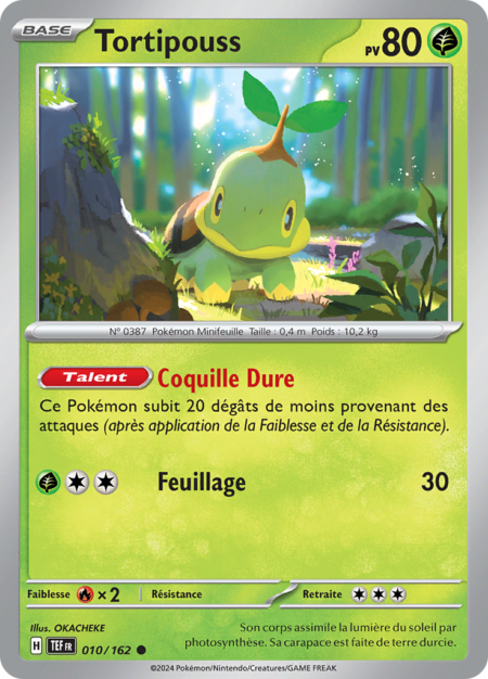 Tortipouss 010/162