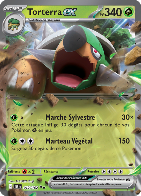 Torterra 012/162