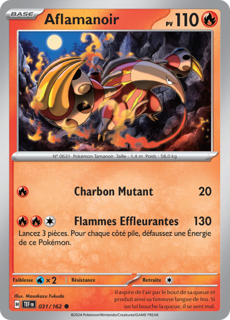 Aflamanoir 031/162