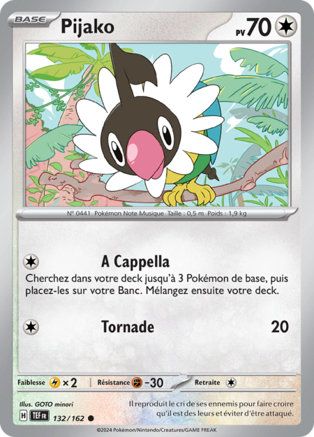 Pijako 132/162