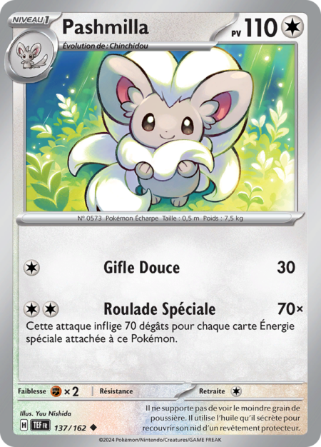 Pashmilla 137/162