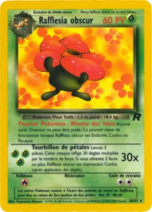 Rafflesia obscur 30/82