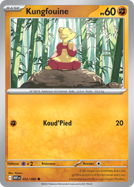Kungfouine 052/086