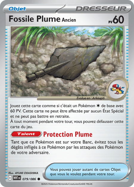 Fossile Plume Ancien 079/086