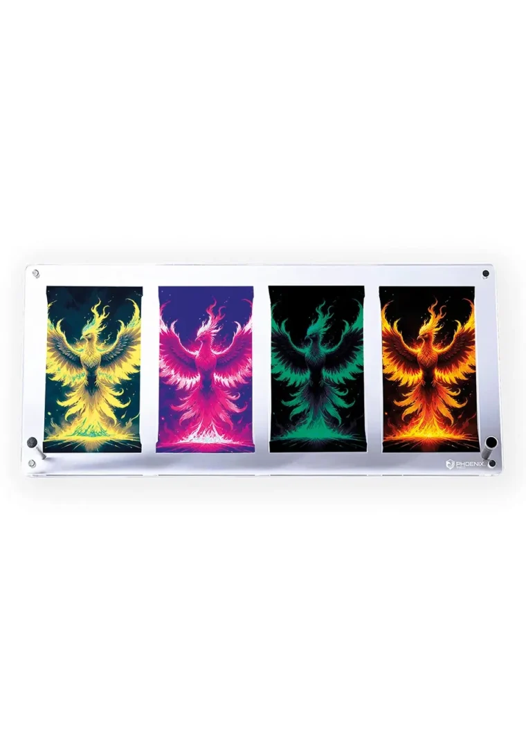 protection en plexiglass pour 4 boosters pokemon de la marque phoenix shield