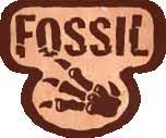 boutique de cartes Pokémon de fossile 